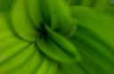 krivulje ::: Curves/cv_048_1ds.jpg/260