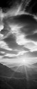 _tf_8976.jpg