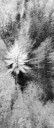 _tf_9117-copy.jpg