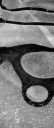 vz_0031_1ds.jpg