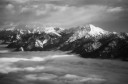 _tf_0486-edit-copy.jpg