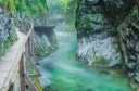 _tf_7337-edit-2-copy.jpg